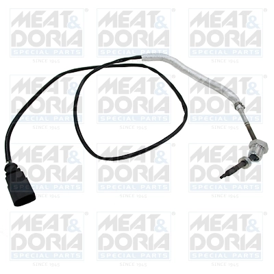 Sensor, exhaust gas temperature